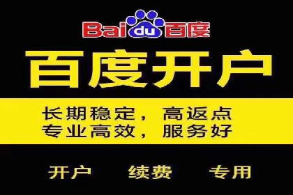 百度广告推广在旅游行业的成功案例